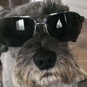 Meet your Posher, Carol